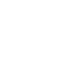 Auto Dust Disposal